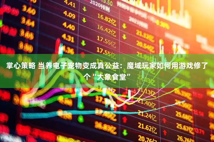 掌心策略 当养电子宠物变成真公益：魔域玩家如何用游戏修了个“大象食堂”