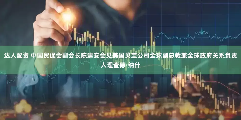 达人配资 中国贸促会副会长陈建安会见美国贝宝公司全球副总裁兼全球政府关系负责人理查德·纳什