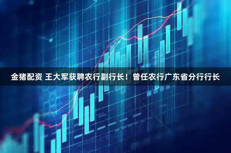 金猪配资 王大军获聘农行副行长！曾任农行广东省分行行长