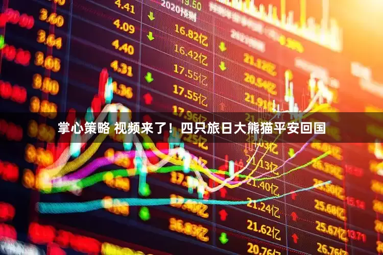 掌心策略 视频来了！四只旅日大熊猫平安回国
