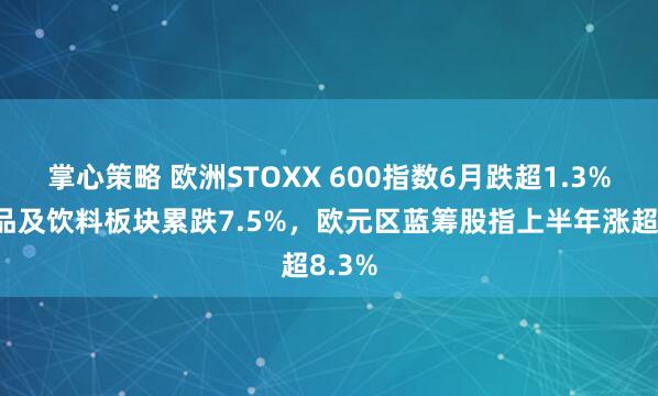 掌心策略 欧洲STOXX 600指数6月跌超1.3%，食品及饮料板块累跌7.5%，欧元区蓝筹股指上半年涨超8.3%