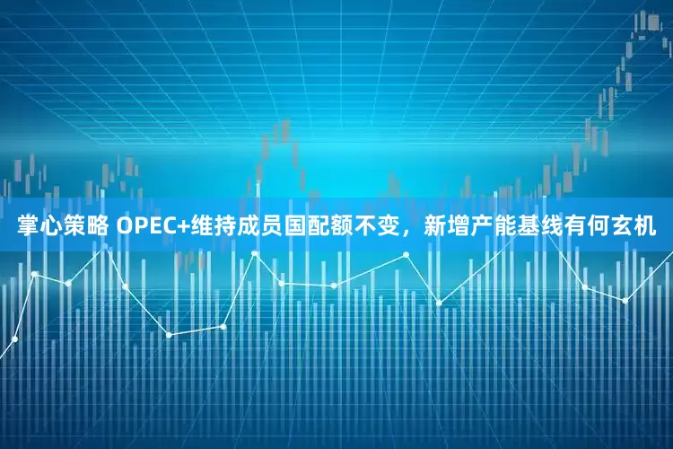 掌心策略 OPEC+维持成员国配额不变，新增产能基线有何玄机