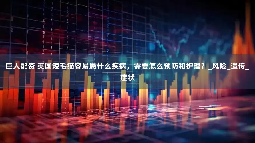 巨人配资 英国短毛猫容易患什么疾病，需要怎么预防和护理？_风险_遗传_症状