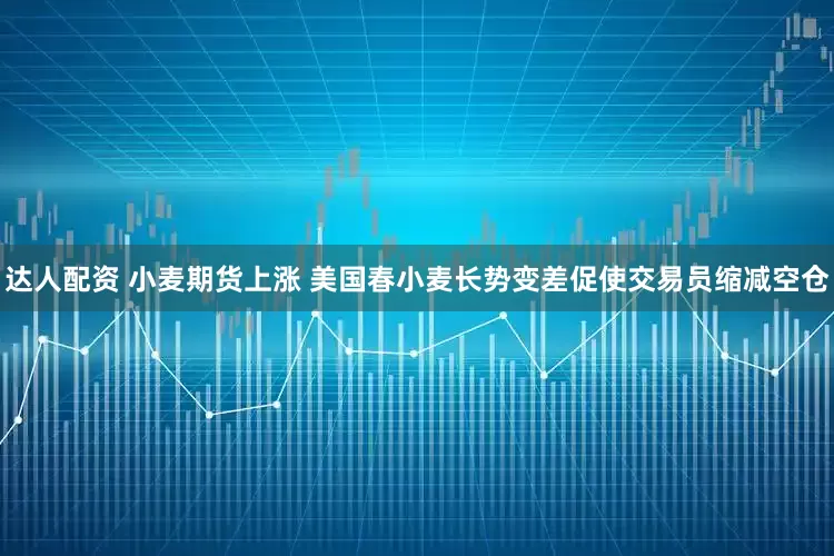 达人配资 小麦期货上涨 美国春小麦长势变差促使交易员缩减空仓