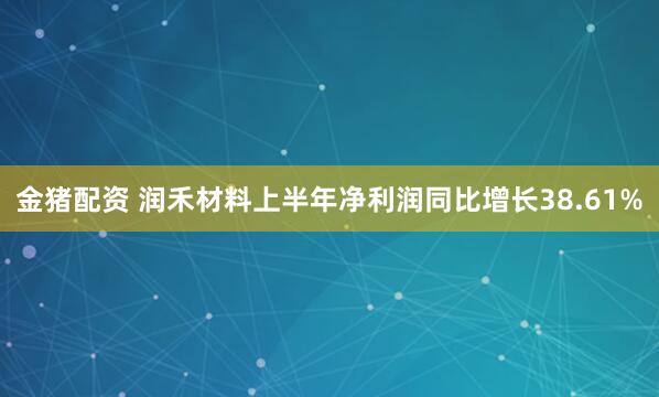 金猪配资 润禾材料上半年净利润同比增长38.61%