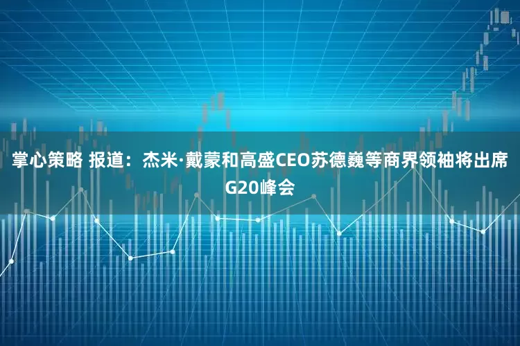 掌心策略 报道：杰米·戴蒙和高盛CEO苏德巍等商界领袖将出席G20峰会